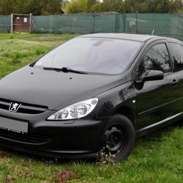 Bbrs peugeot307 01 600x600