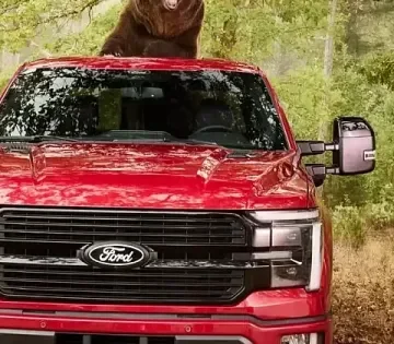 A Ford egy 360 kilos medvevel tesztelte pick upja vedelmet 360x315