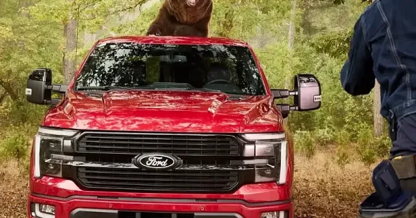 A Ford egy 360 kilos medvevel tesztelte pick upja vedelmet