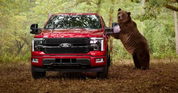 Egy 360 kilos medvevel tesztelte a Ford az F 150 Platinum vedelmi rendszeret