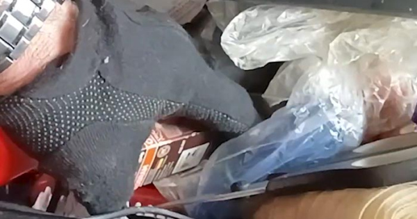 Nem akarmit talaltak a NAV osok egy kamionban