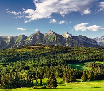Szomszedunk itt korlatozna a tul hangos motorkerekparok behajtasat 1 360x315