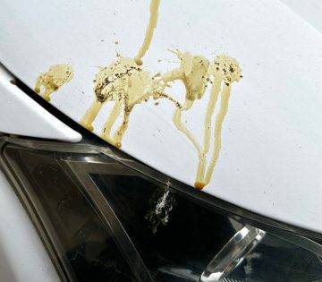 Sok magyar autos nem tudja egy apro folt miatt is ujra kellhet fenyezni a kocsit barki belefuthat a draga javitasba 360x315