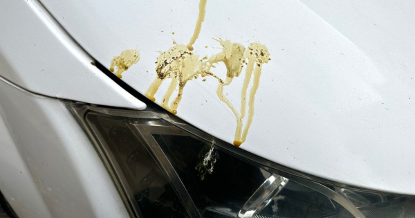 Sok magyar autos nem tudja egy apro folt miatt is ujra kellhet fenyezni a kocsit barki belefuthat a draga javitasba
