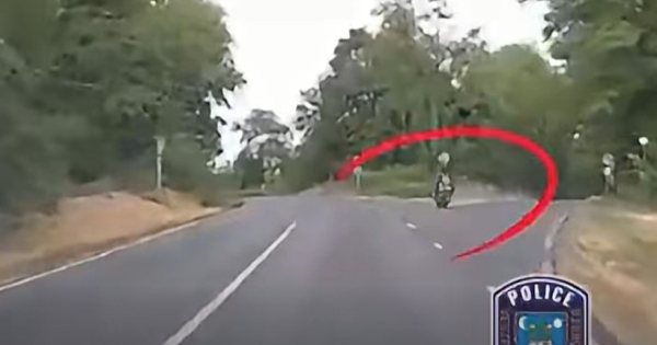 Rendorauto elott hibazott oriasit egy magyar motoros