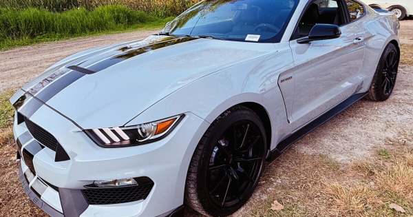 Tiz ev es alig husz megtett kilometer legendas Mustang kerult elo