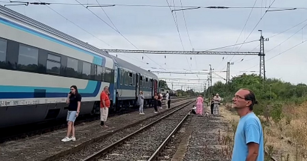 Mav jelentes Rengeteg a keses ramaty allapotban van pecsi vasuti fovonal