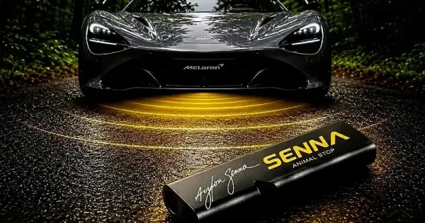 Senna vadriaszto ami mukodik is – haromszazezer forint kargaranciaval