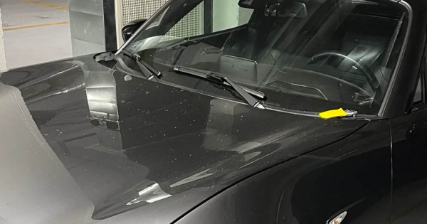 Szivmelengeto meglepetes varta parkolo autojanal a magyar sofort