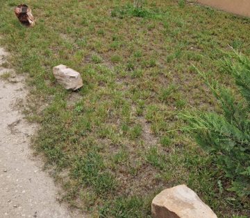 Fellangolt a ki parkolhat a hazam ele vita 360x315