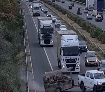 Keresztbe fordult az allatokkal teli utanfuto aztan jott a baj mint a filmeken 360x315