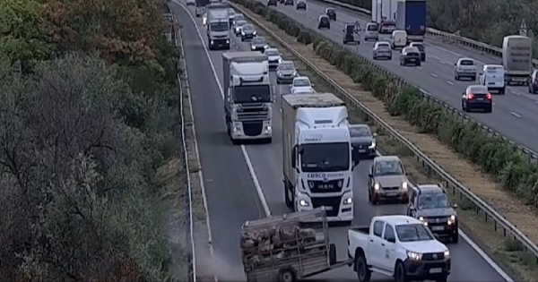 Keresztbe fordult az allatokkal teli utanfuto aztan jott a baj mint a filmeken